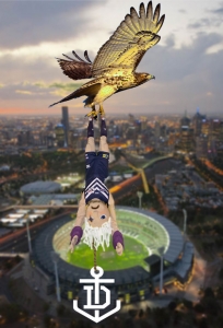2013-finals-week4-GF