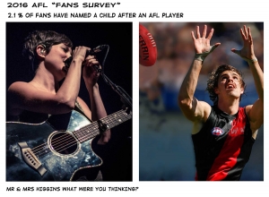 2016-x-Fan-Survey