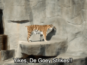 2019-R02-De Goey Strikes