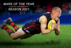 2021-Mark-of-the-year
