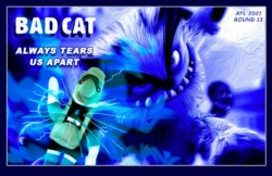 2021-RD13-Bad-Cat