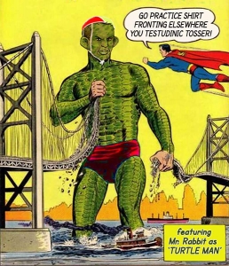 2014-Abbott-Turtle