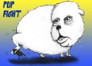 2014-Pup-Fight