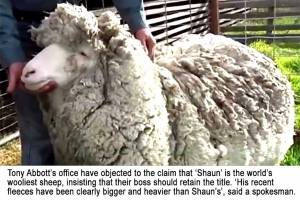 2014-Shaun-the-Sheep