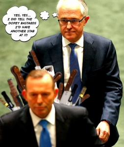 2015-Turnbull-Stab