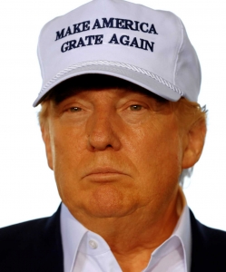 2016-Trump-Grate