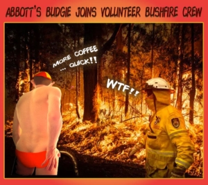 2020-Abbott-Bushfires2