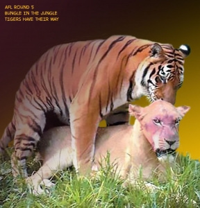 2014-Round-05-JungleBungle