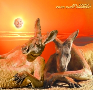 2014-Round-07-Roos-Badly-Sunburnt