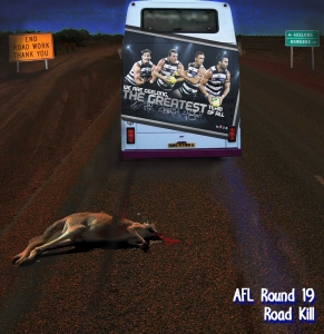 2014-Round-19-Road-Kill