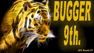 2014-Round-23-Bugger-9th