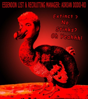 2020-xDodo