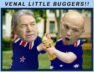 2018-NZ-Fight