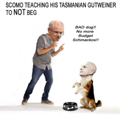 2021-Gutweiner